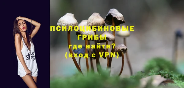 спайс Нея