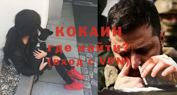 спайс Нея