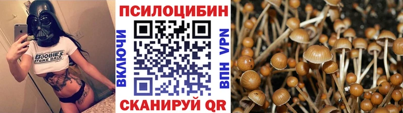 Купить  Канск  Галлюциногенные грибы MAGIC MUSHROOMS 